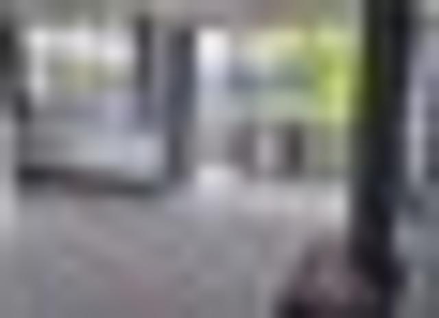 House for rent in Ngongotaha, Bay Of Plenty