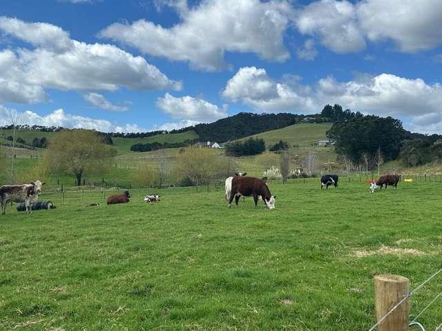 Property for sale in Karetu, Northland