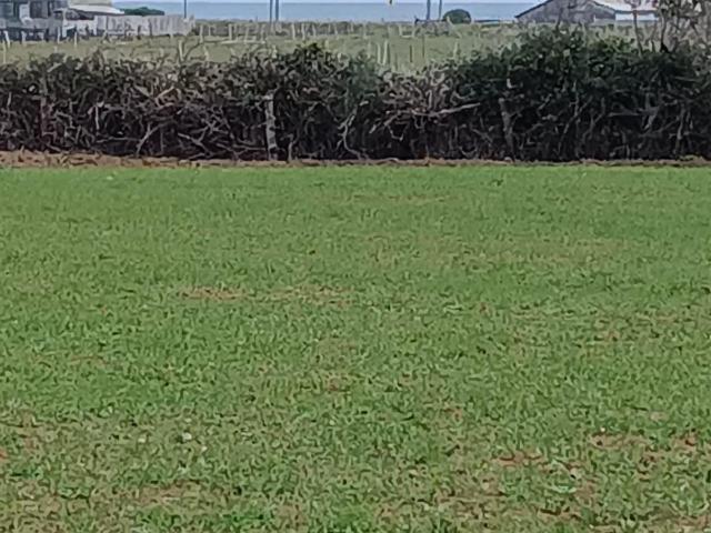 Terreno en venta en Ñuble
