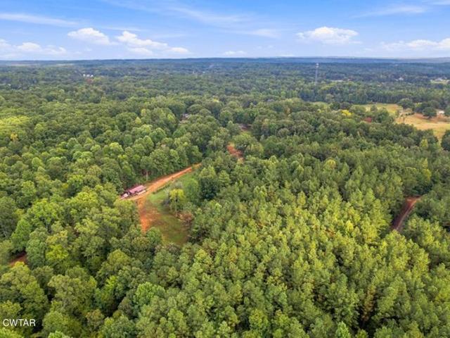 Land for sale in Toone, West Tennessee