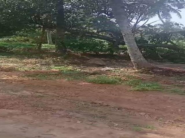 Land for sale in Kurnool, Andhra Pradesh