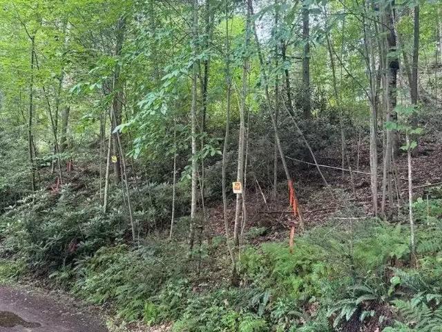 House for sale in Mount Hope