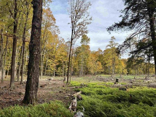 Land for sale in Village of Potsdam, Town of Potsdam