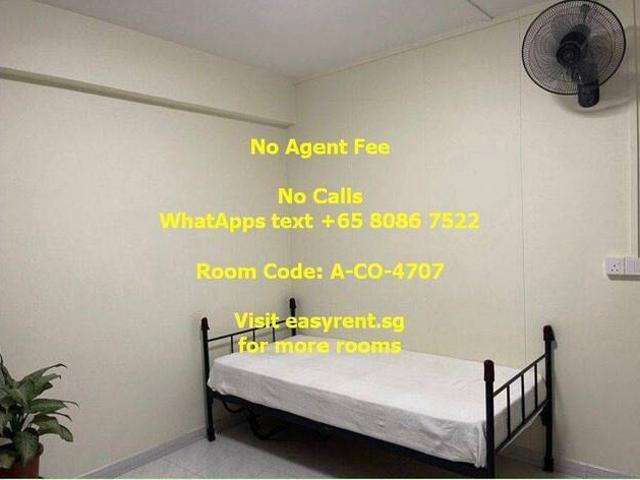 Room for rent