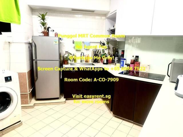 Room for rent