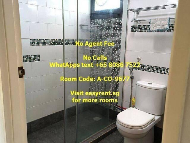 Room for rent