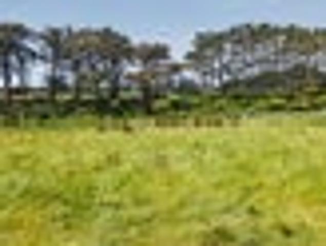 Land for sale in Taranaki