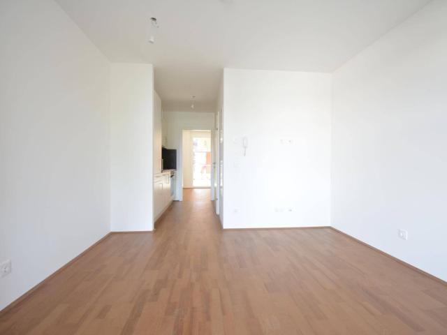 Apartment mieten in Katastralgemeinde Straßgang, Graz