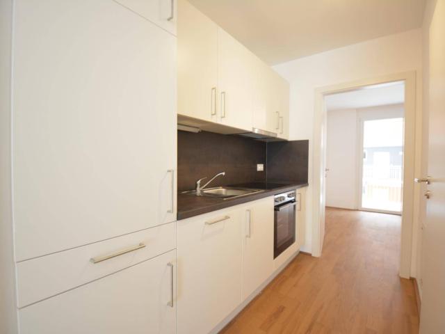 Apartment mieten in Katastralgemeinde Straßgang, Graz