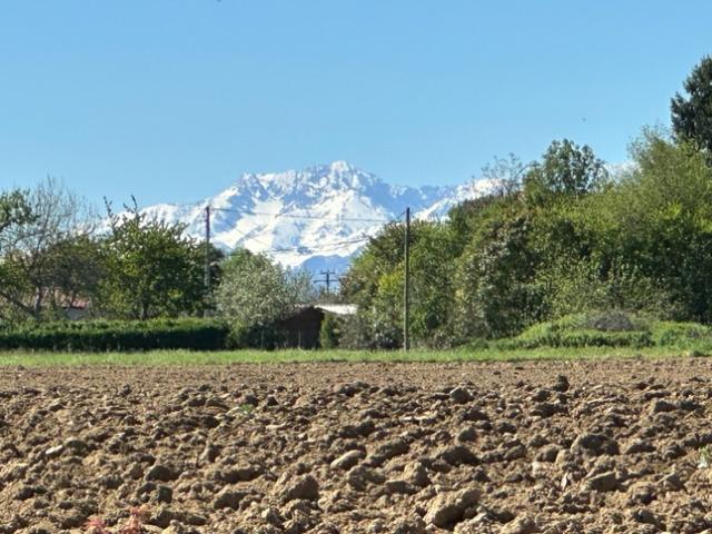 Maison vente à Tarbes, Puntous