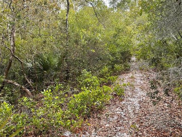 Land for sale in Lake Helen, Florida