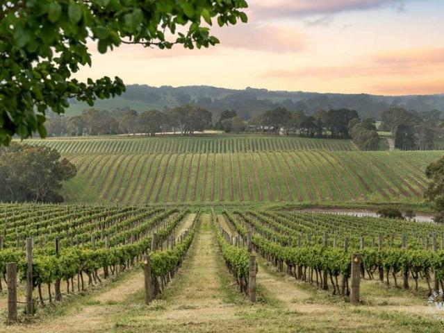 Property for sale in Forreston, South Australia