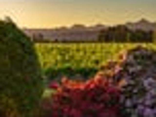 House for sale in Renwick, Marlborough