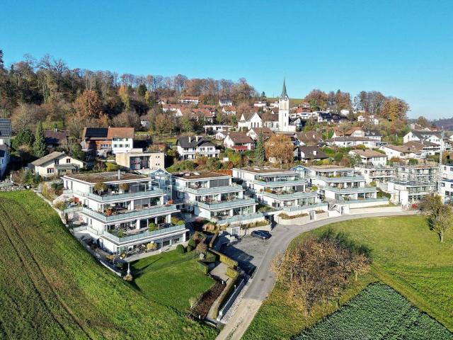 Haus mieten in Schneisingen, Aargau