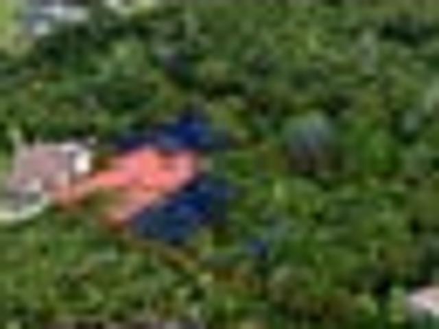 Land for sale in Paremoremo
