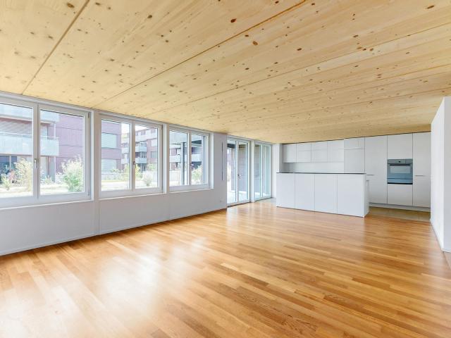 Apartment mieten in Remigen, Aargau