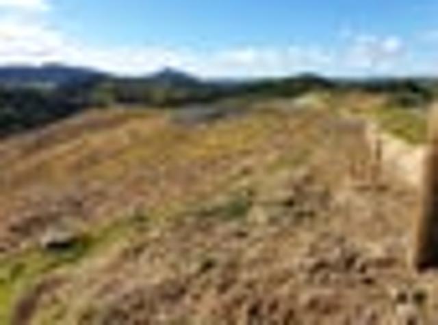 Land for sale in Maungaturoto, Northland