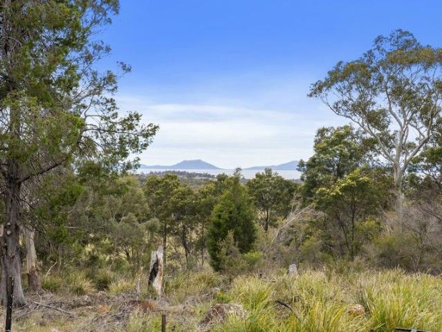 Land for sale in Little Swanport, Tasmania