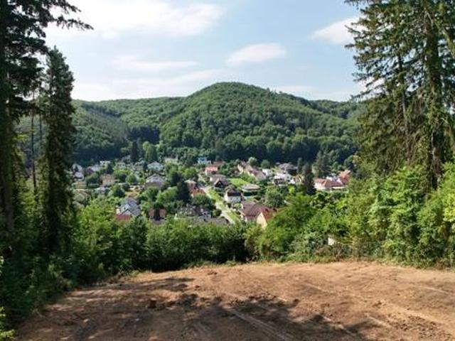 Grundstück kaufen in Purkersdorf, Niederösterreich