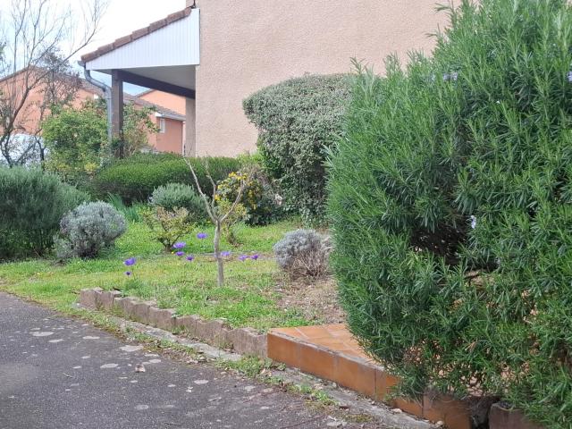 Villa vente à Toulouse