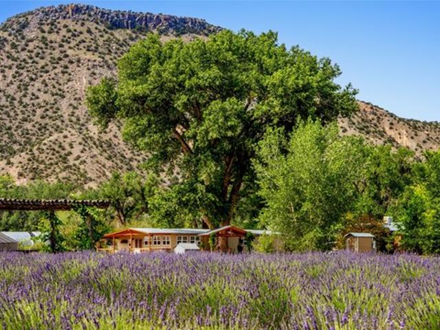 Farm for sale in Abiquiu, New Mexico