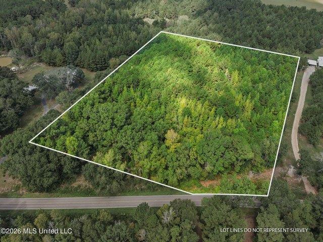 Land for sale in Purvis, Lamar County