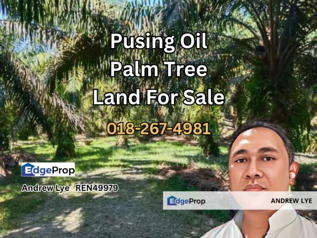 Shop for sale in Perak, Pusing