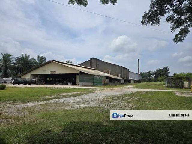 Warehouse for rent in Perak, Pusing