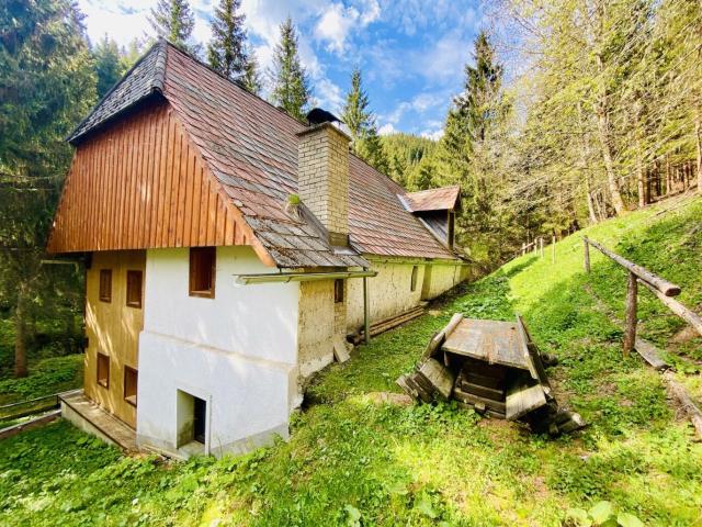 Haus kaufen in Pusterwald, Steiermark