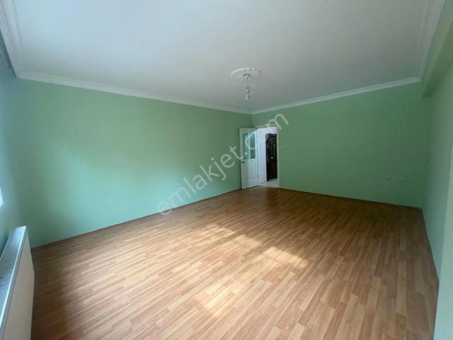 Alaşehir, Manisa içerisinde kiralık mülk