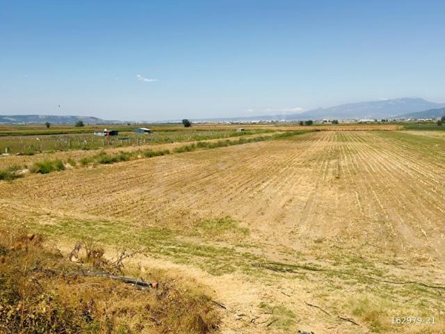 Sağlık Mahallesi, Torbalı içerisinde satılık Arsa
