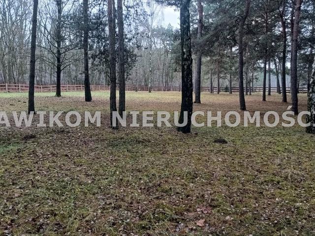Grunt na sprzedaż w Puszcza Mariańska, Mazowieckie