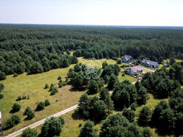 Grunt na sprzedaż w Drzewce, Kujawsko-pomorskie