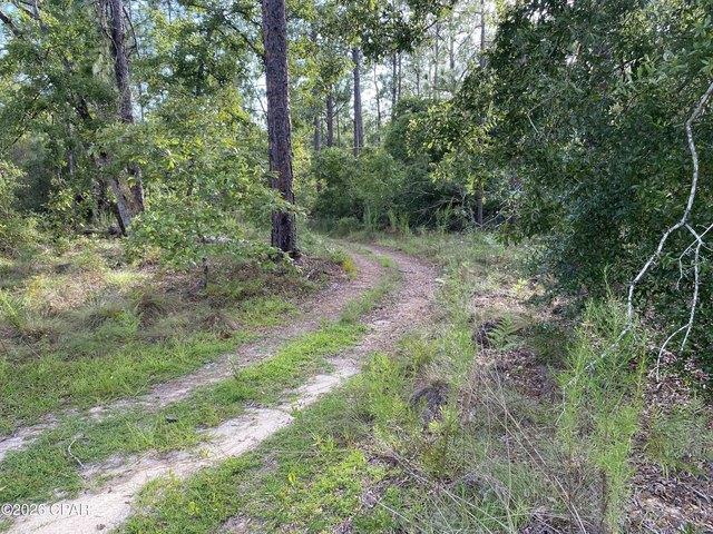 Land for sale in Florida