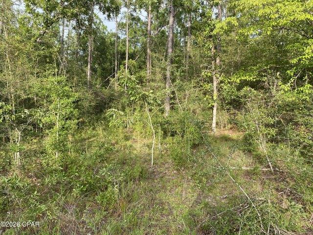 Land for sale in Florida