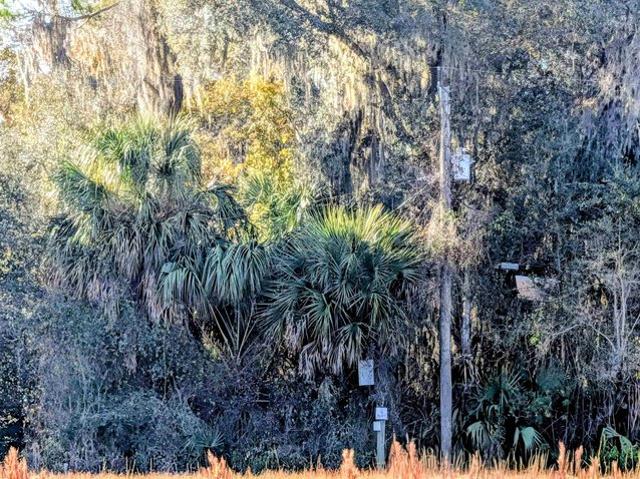 Land for sale in East Palatka, Florida