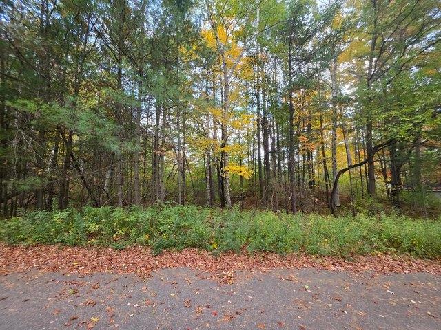 Land for sale in Tomahawk, Lincoln County