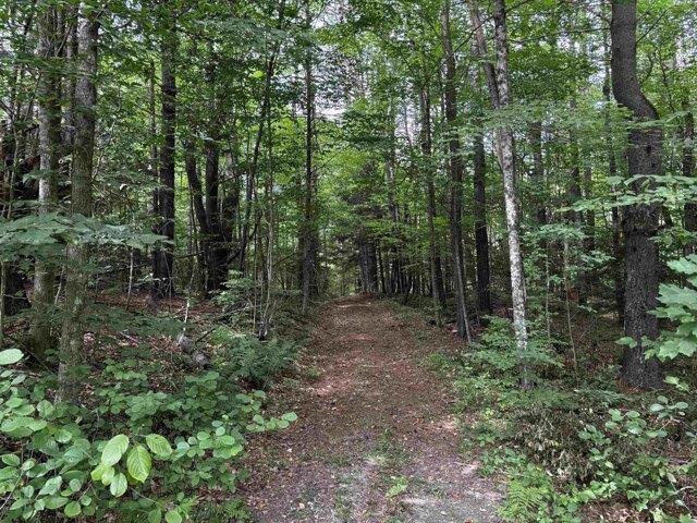 Land for sale in Putney, Windham County