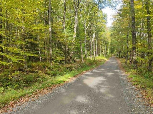 Land for sale in Putney, Vermont