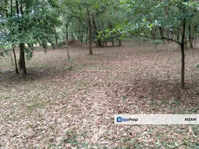 House for sale in Petaling, Subang Jaya