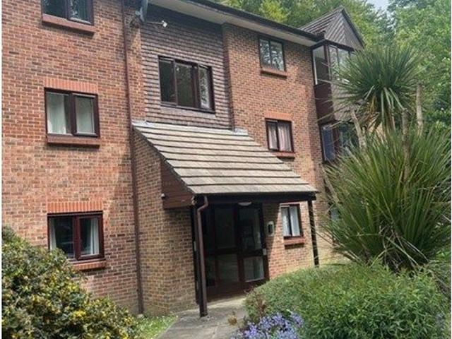 Apartment for rent in Hammer, Chichester
