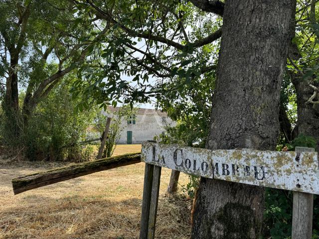Maison vente à Fontenay-le-Comte, Pays de la Loire
