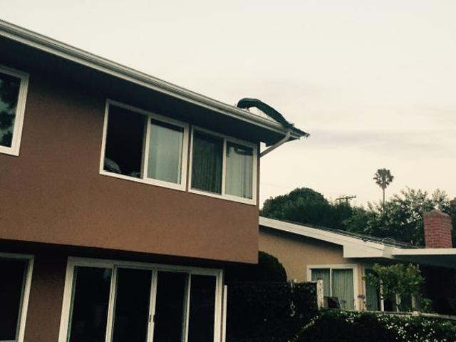 Room for rent in Rancho Palos Verdes, California