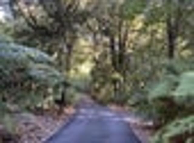 House for rent in Bay Of Plenty