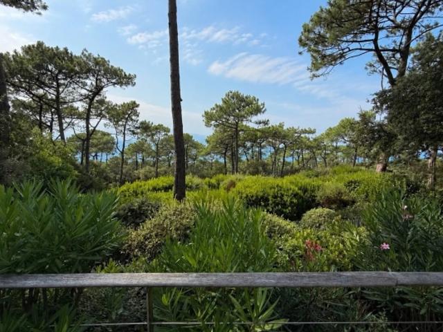 Maison vente à Arcachon, La Teste-de-buch