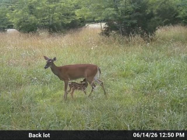 Land for sale in Tennessee