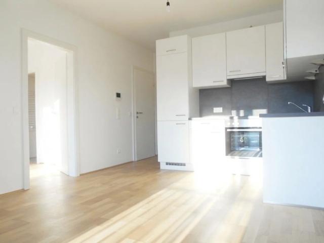 Apartment mieten in Katastralgemeinde Baierdorf, Graz