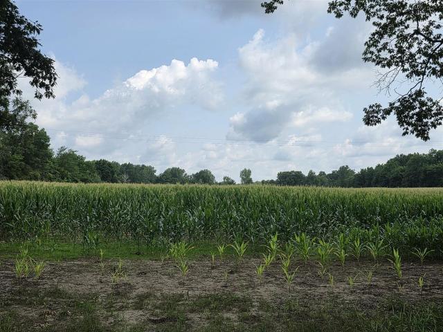 Land for sale in Michigan