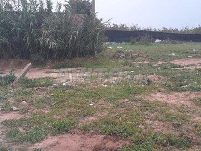 Propriété vente à Aïn Attig