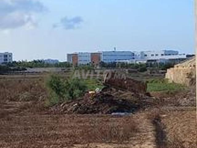 Propriété vente à Ajdir